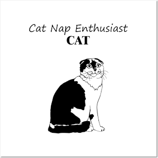 Cat Cat Nap Enthusiast Posters and Art